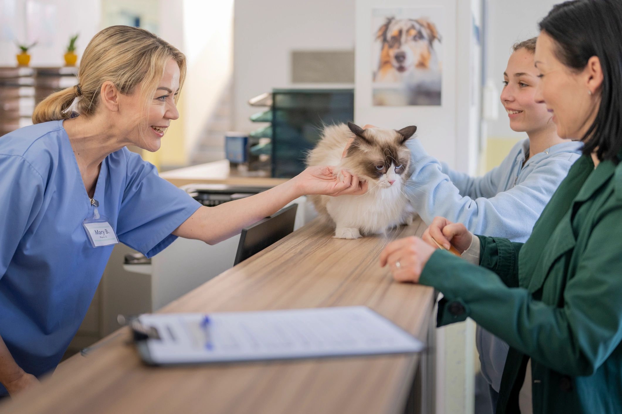 Veterinary professional smiling in a clinic