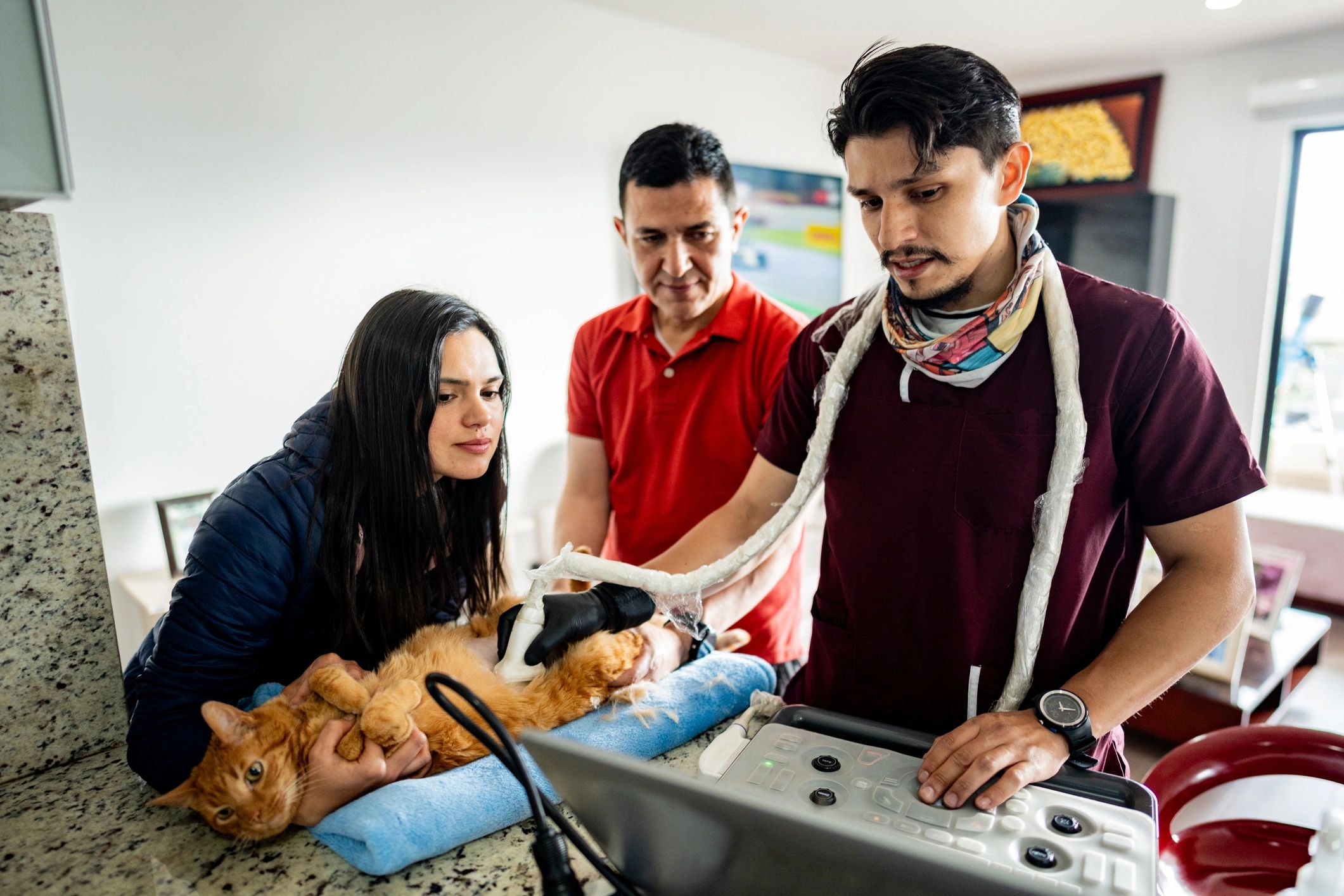 Veterinary team training session